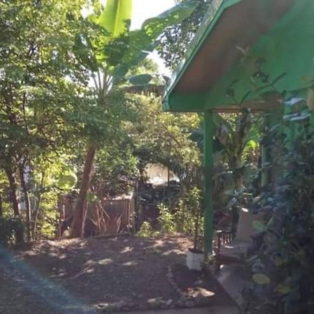 Casa Flor De Annia ~ Cozy 2 Bdrm On The River Sierpe ~ Walkable To Town Villa Ngoại thất bức ảnh