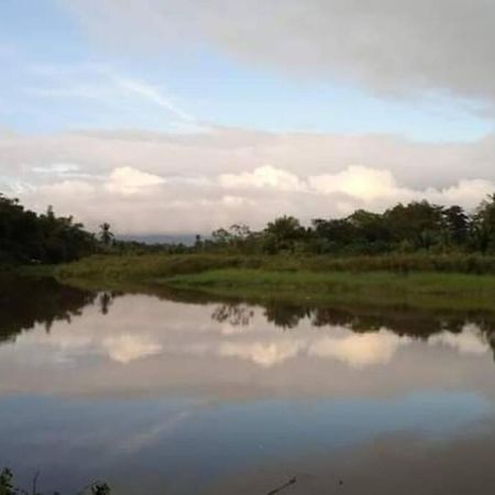 Casa Flor De Annia ~ Cozy 2 Bdrm On The River Sierpe ~ Walkable To Town Villa Ngoại thất bức ảnh