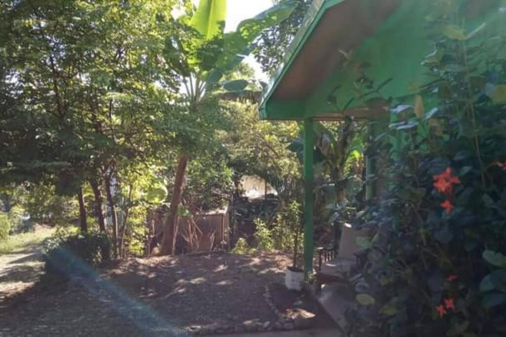 Casa Flor De Annia ~ Cozy 2 Bdrm On The River Sierpe ~ Walkable To Town Villa Ngoại thất bức ảnh