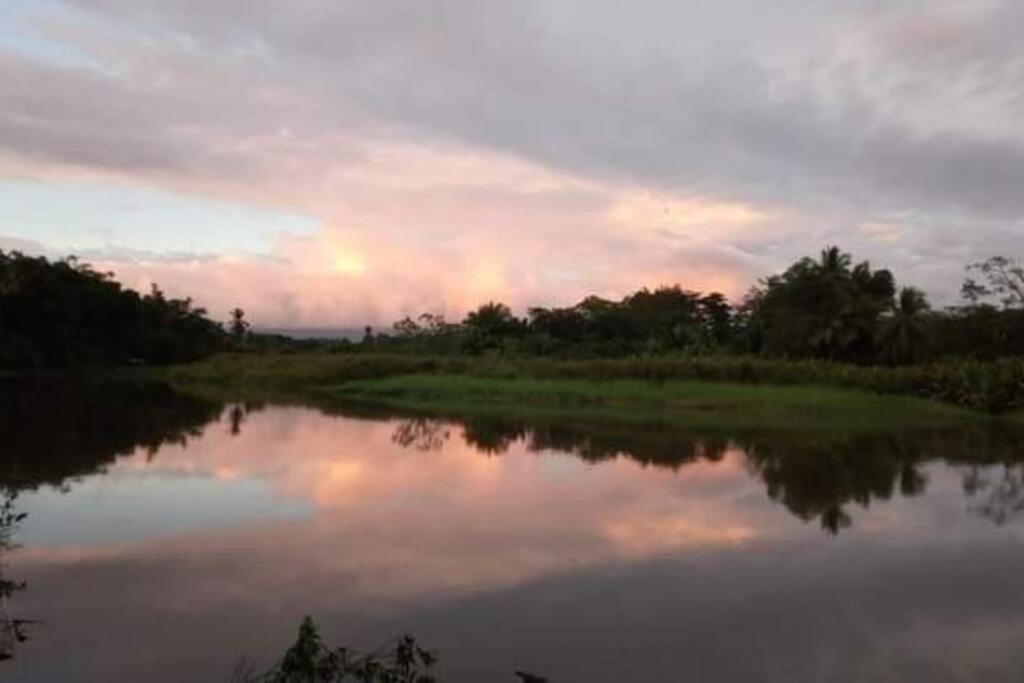 Casa Flor De Annia ~ Cozy 2 Bdrm On The River Sierpe ~ Walkable To Town Villa Ngoại thất bức ảnh