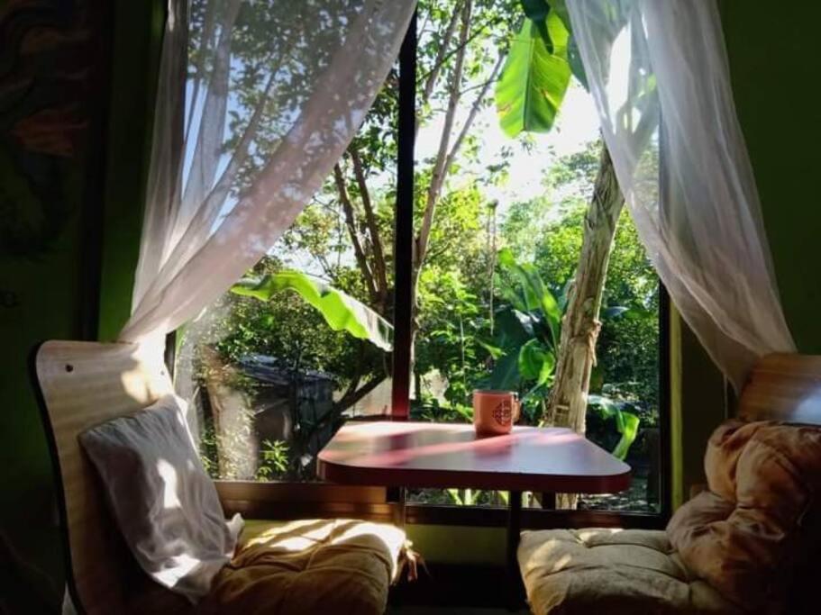 Casa Flor De Annia ~ Cozy 2 Bdrm On The River Sierpe ~ Walkable To Town Villa Ngoại thất bức ảnh