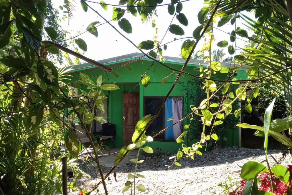 Casa Flor De Annia ~ Cozy 2 Bdrm On The River Sierpe ~ Walkable To Town Villa Ngoại thất bức ảnh