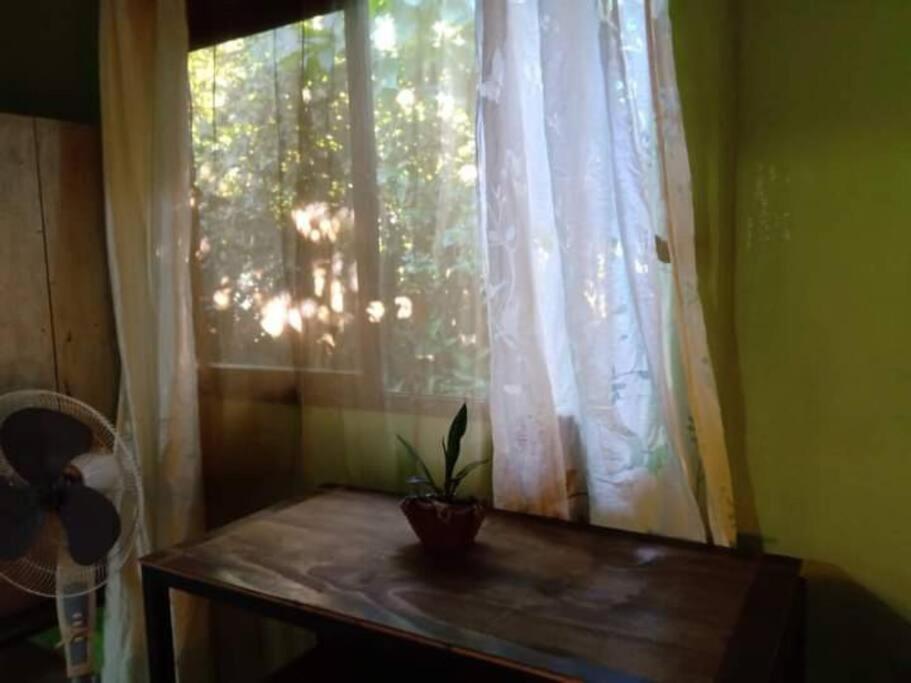 Casa Flor De Annia ~ Cozy 2 Bdrm On The River Sierpe ~ Walkable To Town Villa Ngoại thất bức ảnh