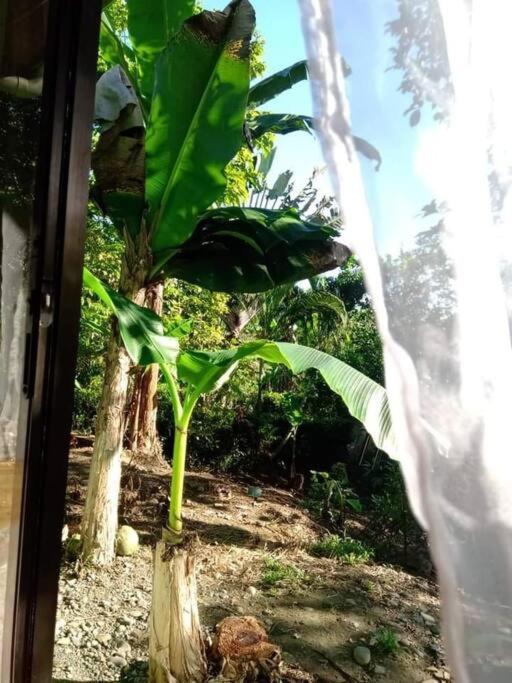 Casa Flor De Annia ~ Cozy 2 Bdrm On The River Sierpe ~ Walkable To Town Villa Ngoại thất bức ảnh